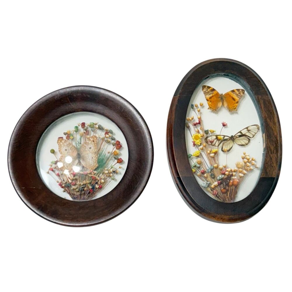 2 VTG Brazilia Collection Dunston Dried Flower Butterfly Wood Frame Oval + Round